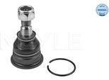 Meyle 36-16 010 0045 - Oe 54501 AV60A Giunto Sferico Inferiore Anteriore Per Almera Tino (V10), Maxima Qx V (A33), Primera (P12)
