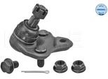Meyle 30-16 010 0041 - Oe 43330 09070 Giunto Sferico Inferiore Anteriore Per Celica (T23), Corolla (E10), Corolla (E11), Corolla (E12), Corolla Verso (E12), Rav 4 Ii (A2)
