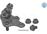 Meyle 30-16 010 0077 - Oe 43330 49095 Giunto Sferico Anteriore Inferiore Per Nx (Z1), Ux (AA1, AH1, MA1), Auris (E15), Auris (E18), C-HR (X1), Corolla (E18), Previa Iii (R2, R5), Rav 4 Iii (A3), Rav 4 Iv (A4), Verso (R2)