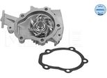 Meyle 29-13 220 0000 - Pompa Dell'acqua Oe 96518977 Per Spark (M200, M250), Matiz (M200, M250), Aveo (T250, T255), Aveo (T200)