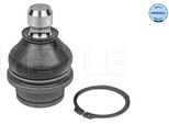 Meyle 36-16 010 0025 - Giunto Sferico Anteriore Inferiore Oe 54501 EB31A Per Pathfinder Iii (R51)