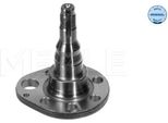 Meyle 100 501 0036 - Oe 191 501 501 117 C Achsschenkel, RadaufhäNgung FüR Arosa (6H), Cordoba (6K), Ibiza (6K), Toledo I (1L2), Golf Iii (1H), Golf Cabriolet (1E), Passat (35I), Polo (6N), Polo (6V), Vento (1H)