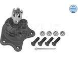Meyle 30-16 010 0005 - Oe 43360 39025 Traggelenk, Vorne Oben FüR 4 Runner, Hilux, Taro