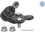 Meyle 30-16 010 0043 - Oe 43340 29175 Giunto Di Supporto, Anteriore Sinistro Per Rx (U3), Rx (MCU15), Camry (V2), Camry (V3), Previa (R3)