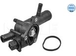 Meyle 16-28 228 0011 - Termostato KüHlwasser Oe 8200558783 Per Aveo (T250, T255), Logan, Almera Ii (N16), Micra Iii (K12), Clio Ii, Kangoo (Kc), Kangoo (Fc), Thalia I (Lb)