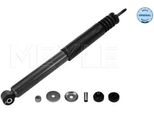 Meyle 626 725 0001 - Oe 72118761 Ammortizzatore, Asse Posteriore Per Tigra (S93)