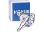 Meyle 100 501 501 0011 - Oe 191 501 118 A Achsschenkel, RadaufhäNgung FüR Cordoba (6K), Ibiza (6K), Toledo I (1L2), Golf Iii (1H), Golf Cabriolet (1E), Jetta Ii (165, 19E, 1G2), Passat (35I), Polo (80, 86C), Polo (6V), Vento (1H)