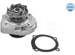 Meyle 213 220 0001 - Pompa Acqua Oe 55184081 Per X6 (E71), 500 (312), Brava, Bravo, Doblo, Punto, Idea, Linea, Marea, Panda, Stilo