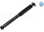 Meyle 726 725 0003 - Oe 1 201 812 Ammortizzatore, Asse Posteriore Per Focus (Dnw)