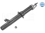 Meyle 35-26 625 0003 - Ammortizzatore Oe GS1D 34 700E, Asse Anteriore Destro Per 6 (G)