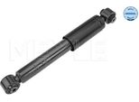 Meyle 026 725 0005 - Oe 9225V001000000 Ammortizzatore, Asse Posteriore Per Cabrio (450), City-Coupe (450), Crossblade (450), Fortwo Cabrio (450), Fortwo (450), Roadster (452)