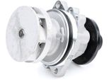 Meyle 313 011 2001 - Oe 11 51 7 527 910 Wasserpumpe FüR Grand C-Max, Z4 (E85), Z3 (E36), X5 (E53), X3 (E83), 7Er (E65), 7Er (E38), 5Er (E61), 5Er (E39), 5Er (E60), 3Er (E46), 3Er (E36)