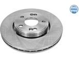 Meyle 16-15 521 0016 - Oe 7701204305 Disco Freno, Asse Anteriore Per Golf Iii (1H), Espace Iii (Je), Laguna I, Safrane I (B54)
