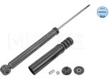 Meyle 16-26 725 0029 - Oe 562107813R Ammortizzatore, Asse Posteriore Per Aveo (T250, T255), Logan, Sandero, Logan Ii