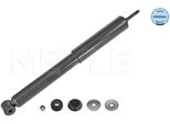 Meyle 626 725 0016 - Oe 93176932 Ammortizzatore, Asse Posteriore Per Corsa C (X01)