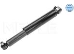 Meyle 16-26 725 0007 - Oe 7700422518 Ammortizzatore, Asse Posteriore Per Golf Iii (1H), Megane I