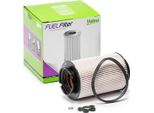 Valeo 587909 Filtro Carburante Oe 1K0127434 Compatibile Con A3 8P, Altea, Altea Xl, Leon, Toledo, Octavia, Caddy, Eos, Golf Plus, Golf V, Jetta, Phaeton, Touran