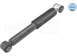 Meyle 16-26 725 0018 - Oe 415 326 03 00 Ammortizzatore, Asse Posteriore Per Aveo (T250, T255), Citan (W415), Kangoo (Kw), Kangoo (Fw)