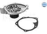 Meyle 16-13 220 0011 - Pompa Acqua Oe 21010 AW300 Per Golf Iii (1H), Primera (P12), Grand Scenic Ii (Jm), Laguna Ii, Megane Ii, Scenic Ii