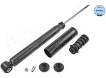 Meyle 16-26 725 0030 - Oe 562105955R Ammortizzatore, Asse Posteriore Per Aveo (T250, T255), Captur I (H5, J5)