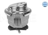 Meyle 300 221 1153 - Supporto Motore Oe 6 762 607, Sinistro Per Serie 5 (E60), Serie 5 (E61), Serie 6 (E63), Serie 6 (E64)