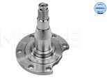 Meyle 100 501 0031 - Oe 8D0 501 117 C Snodo Dello Sterzo, Sospensione Ruota Per A4 (8D), A6 (4A)