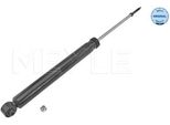 Meyle 36-26 725 0013 - Ammortizzatore Oe 56210 1KC1B, Asse Posteriore Per Aveo (T250, T255), Juke (F15)