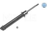 Meyle 026 625 0008 - Ammortizzatore Di Primo Equipaggiamento, Asse Anteriore Per Cabrio (450), City-Coupe (450), Crossblade (450), Fortwo Cabrio (450), Fortwo (450), Roadster (452)