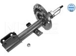 Meyle 16-26 623 0004 - Oe 8200127280 Ammortizzatore, Asse Anteriore Per Clio Iii, Modus (F/JP0)