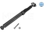 Meyle 16-26 725 0013 - Oe 8200038259 Ammortizzatore, Asse Posteriore Per Megane Ii, Scenic Ii
