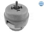 Meyle 100 199 0176 - Oe 4F0 199 382 Ar Supporto Motore, Anteriore Destro Per A6 (4F)