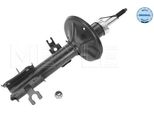 Meyle 29-26 623 0003 - Oe 96980825 Ammortizzatore, Asse Anteriore Destro Per Aveo (T250, T255), Aveo (T200)