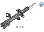 Meyle 36-26 623 0025 - Ammortizzatore Di Primo Impianto E43021HA3A Per Aveo (T250, T255), Micra Iv (K13), Note (E12)