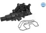 Meyle 16-28 228 0000 - Termostato Acqua Di Raffreddamento Oe 8200561434 Per Clio Iii, Laguna Ii, Megane Ii, Megane Iii, Modus (F/JP0), Scenic Ii, Twingo Ii (CN0), Wind (E4M)
