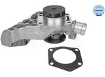 Meyle 113 220 0008 - Oe 047 121 013 M Pompa Dell'acqua Per Fabia I (6Y)