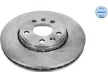 Meyle 16-15 521 0041 - Oe 402064408R Disco Freno, Asse Anteriore Per Aveo (T250, T255), Golf Iii (1H), Grand Scenic Iii (Jz), Laguna Iii, Latitude (L70), Megane Cc, Megane Iii, Scenic Iii