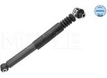Meyle 16-26 725 0005 - Oe 7700437926 Ammortizzatore, Asse Posteriore Per Megane I