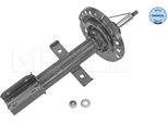 Meyle 16-26 623 0024 - Oe 543020457R Ammortizzatore, Asse Anteriore Per Aveo (T250, T255), Captur I (H5, J5)
