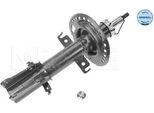 Meyle 16-26 623 0012 - Oe 415 320 00 13 Ammortizzatore, Asse Anteriore Per Aveo (T250, T255), Citan (W415), Kangoo (Kw), Kangoo (Fw)