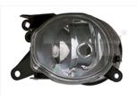 Tyc 19-0002-05-2 - Fendinebbia Oe 8D0941699B, Sinistro Per A4 (8D), A8 (4D)