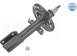 Meyle 16-26 623 0016 - Oe 543022646R Ammortizzatore, Asse Anteriore Per Aveo (T250, T255), Golf Iii (1H), Grand Scenic Iii (Jz), Scenic Iii