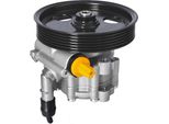 Meyle 16-14 631 0005 - Servopompa Oe 491103693R Per Aveo (T250, T255), Duster