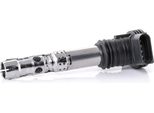 Bosch 0 986 221 024 Bobina Di Accensione Oe 06A905115A Compatibile Con A3 8L, A4 8D, A4 8E, A4 8H, A6 4B, Tt, Cordoba, Ibiza, Leon, Toledo, Octavia, Superb, Bora, Golf Iv, New Beetle, Passat 3B, Polo 9N