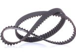 Cinghia Dentata Gates 5565XS Oe 036109119Q Compatibile Con A2, Altea, Altea Xl, Arosa, Cordoba, Ibiza, Inca, Leon, Toledo, Fabia, Octavia, Roomster, Bora, Caddy, Golf Iv, Golf Plus, Golf V, Golf Vi, Lupo, New Beetle, Polo 6N, Polo 9N, Polo 6V, Polo 6R