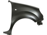 Blic 6504-04-6010314P - Parafango Oe 7751718632, Anteriore Destro Per Kangoo (Kc), Kangoo (Fc)