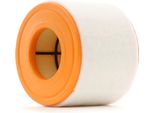 Stark SKAF-0060409 - Filtro Aria Oe 4G0 133 843 H Per A6 (4G), A7 (4G), A8 (4H)