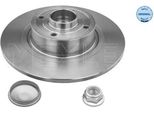 Meyle 16-15 523 4115 - Oe 8671018107 Disco Freno, Asse Posteriore Per Grand Scenic Ii (Jm), Megane Ii, Scenic Ii
