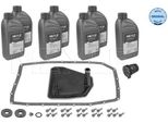 Meyle 300 135 1006 - Oe 24 11 7 543 550 Cambio Olio, Cambio Automatico Per X6 (E71), X5 (E70), X5 (E53), X3 (E83), Serie 7 (E65)