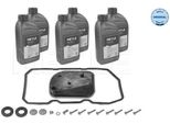 Meyle 014 135 0213 - Oe A 169 377 13 95 Cambio Olio, Cambio Automatico Per Classe A (W169), Classe B (W245)