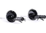 Ridex 854S1625 - Oe 1061713 StoßDäMpfer, Vorderachse FüR Focus (Daw, Dbw), Focus (Dfw), Focus (Dnw)